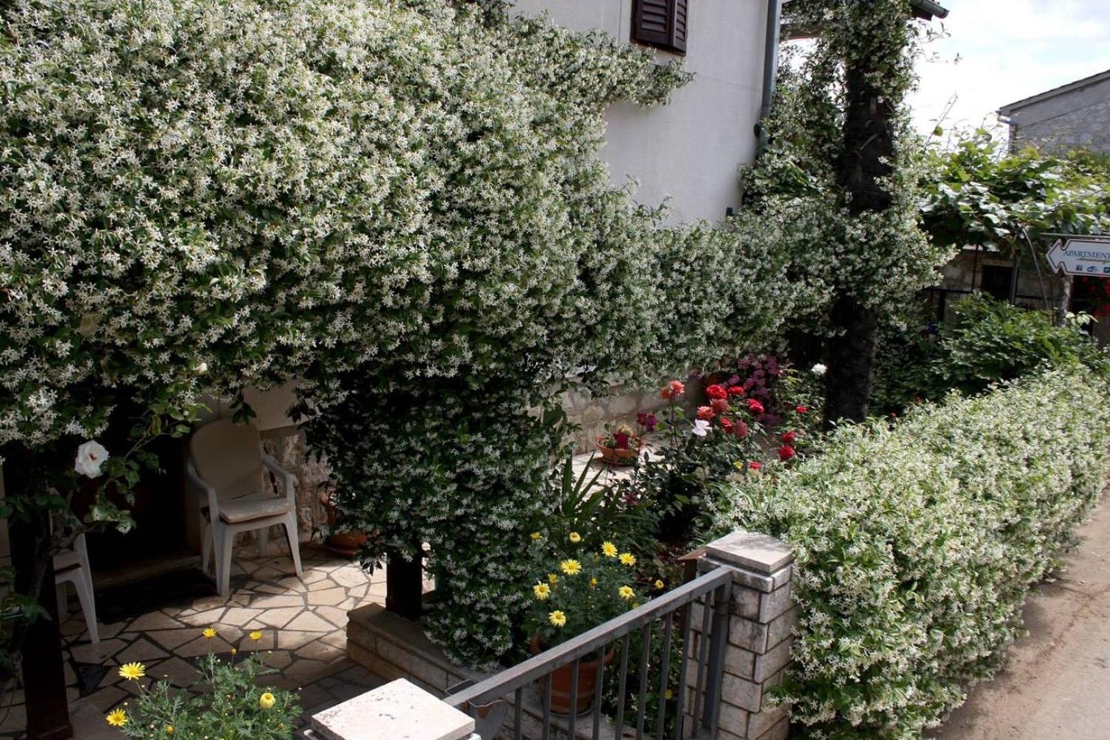 פונטנה Anamarija Apartments Near The Beach And The Fantastic Adria Sea With Over 10 Small Islands Close By מראה חיצוני תמונה
